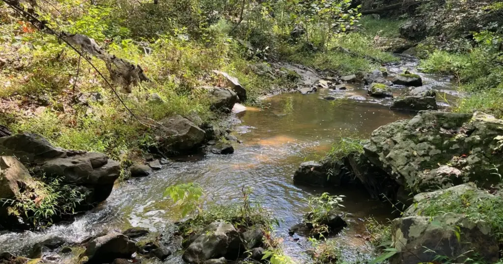 Fisheries and Aquatic Resources 1 stream